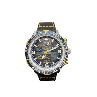 Citizen Skyhanwk Blue Angels état neuf