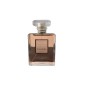 Chanel Coco Mademoiselle Eau de parfum 100ML. Produit neuf. Chanel Coco Mademoiselle Eau de parfum 100ML. Produit neuf.