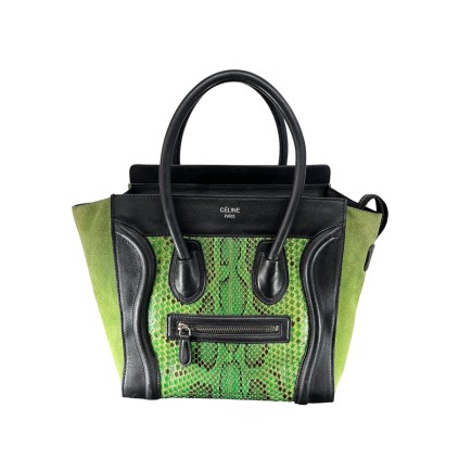 Celine Luggage Python.