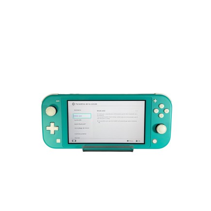 Nintendo Switch Lite.